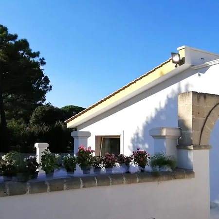 Trulli E Mare Nocleg ze śniadaniem