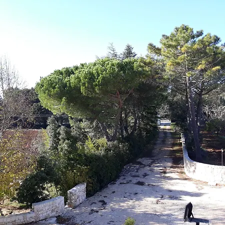 Trulli E Mare 住宿加早餐酒店